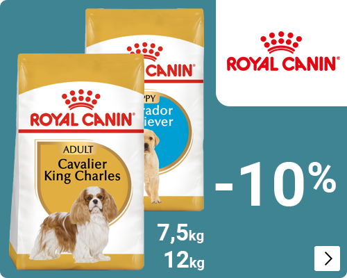 Royal Canin Breeds -10% DOG